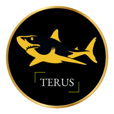 Terus Technology